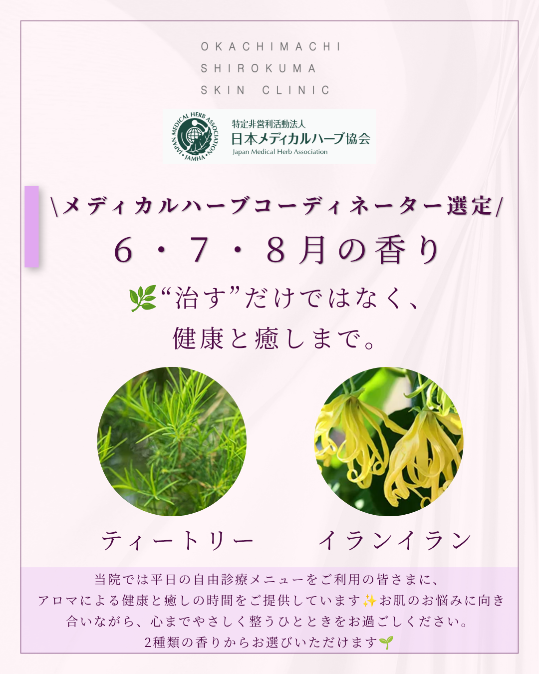 ６・７・８月の香り＆おすすめハーブレシピ